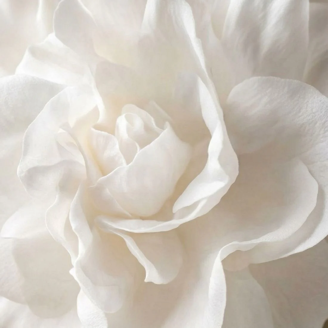 Parfums Boost en dosage à 1%